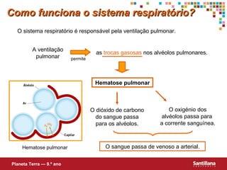 O dióxido de carbono do sangue passa para os alvéolos. A ventilação pulmonar Hematose pulmonar as  trocas gasosas  nos alvéolos pulmonares. O sangue passa de venoso a arterial. O oxigénio dos alvéolos passa para  a corrente sanguínea. Como funciona o sistema respiratório? O sistema respiratório é responsável pela ventilação pulmonar. Planeta Terra — 9.º ano permite Hematose pulmonar 