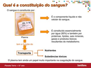 Transporte Nutrientes Substâncias tóxicas O plasma tem ainda um papel muito importante na coagulação do sangue. Qual é a constituição do sangue? O sangue é constituído por: Planeta Terra — 9.º ano Plasma É o componente líquido e não celular do sangue. É constituído essencialmente  por água (90%) e também por proteínas, lípidos, sais minerais, gases e produtos tóxicos resultantes do metabolismo.  tem a função de 