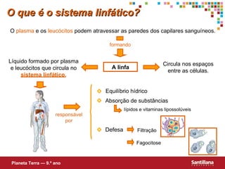 O que é o sistema linfático? O  plasma  e os  leucócitos  podem atravessar as paredes dos capilares sanguíneos. A linfa Circula nos espaços entre as células. Líquido formado por plasma e leucócitos que circula no  sistema linfático. lípidos e vitaminas lipossolúveis Planeta Terra — 9.º ano formando responsável por Equilíbrio hídrico Absorção de substâncias Defesa Filtração Fagocitose 