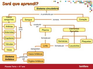Será que aprendi? Leucócitos Sistema circulat ório Vasos sanguíneos Capilares Vénulas Sangue Veias Coração Plaquetas Hemácias Artérias Arteríolas Elementos figurados Sistema linfático Órgãos linfáticos Linfa Plasma Planeta Terra — 9.º ano Vasos linfáticos onde circula é constituído por bombeia constituído por constitu ído  por formada por formada por transportam 