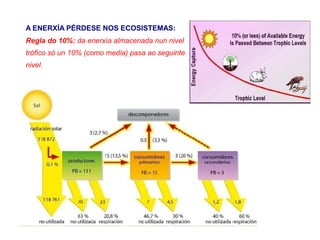 A ENERXÍA PÉRDESE NOS ECOSISTEMAS:
Regla do 10%: da enerxía almacenada nun nivel
trófico só un 10% (como media) pasa ao seguinte
nivel.
 