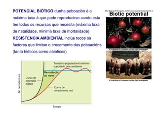 POTENCIAL BIÓTICO dunha poboación é a
máxima taxa á que pode reproducirse cando esta
ten todos os recursos que necesita (máxima taxa
de natalidade, mínima taxa de mortalidade)
RESISTENCIA AMBIENTAL inclúe todos os
factores que limitan o crecemento das poboacións
(tanto bióticos como abióticos)
 