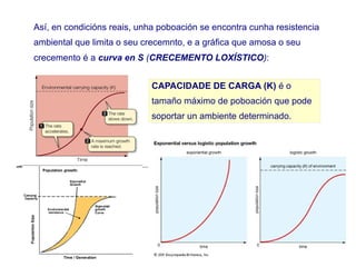 Así, en condicións reais, unha poboación se encontra cunha resistencia
ambiental que limita o seu crecemnto, e a gráfica que amosa o seu
crecemento é a curva en S (CRECEMENTO LOXÍSTICO):
CAPACIDADE DE CARGA (K) é o
tamaño máximo de poboación que pode
soportar un ambiente determinado.
 