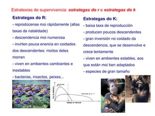Estratexias de supervivencia: estrategas do r e estrategas do k
Estrategas do R:
- reprodúcense moi rápidamente (altas
taxas de natalidade)
- descendencia moi numerosa
- invirten pouca enerxía en coidados
dos descendentes: moitos deles
morren
- viven en ambientes cambiantes e
inestables
- bacterias, insectos, peixes...
Estrategas do K:
- baixa taxa de reproducción
- producen poucos descendentes
- gran inversión no coidado da
descendencia, que se desenvolve e
crece lentamente
- viven en ambientes estables, aos
que están moi ben adaptados
- especies de gran tamaño
 