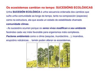 Os ecosistemas cambian no tempo: SUCESIÓNS ECOLÓXICAS
Unha SUCESIÓN ECOLÓXICA é unha secuencia ordenada dos cambios que
sufre unha comunidade ao longo do tempo, tanto na composición (especies)
como na estructura, ata que acada un estado de estabilidade chamado
comunidade climax.
- As sucesións ocurren porque os seres vivos modifican o seu ambiente
facéndoo cada vez máis favorable para organismos máis complexos.
Factores ambientais como o clima (sequías, inundacións…), incendios,
erupcións volcánicas… tamén poden alterar os ecosistemas.
 