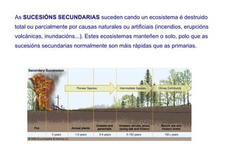As SUCESIÓNS SECUNDARIAS suceden cando un ecosistema é destruido
total ou parcialmente por causas naturales ou artificiais (incendios, erupcións
volcánicas, inundacións...). Estes ecosistemas manteñen o solo, polo que as
sucesións secundarias normalmente son máis rápidas que as primarias.
 