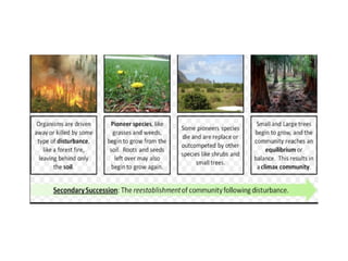 Unidade 6  ecosistemas