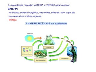 Os ecosistemas necesitan MATERIA e ENERXÍA para funcionar:
MATERIA:
- no biotopo: materia inorgánica, nas rochas, minerais, solo, auga, etc
- nos seres vivos: materia orgánica
- limitada
A MATERIA RECÍCLASE nos ecosistemas
 