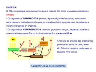 ENERXÍA:
O SOL é a principal fonte de enerxía para a maioría dos seres vivos dos ecosistemas:
ilimitada
- Os organismos AUTÓTROFOS (plantas, algas e algunhas bacterias) transforman
unha pequena parte da enerxía solar en enerxía química, ao usala para transformar a
materia inorgánica en orgánica.
- Os organismos HETERÓTROFOS (animais, protozoos, fungos, bacterias) obteñen a
súa enerxía dos autótrofos ou doutros heterótrofos: cadeas tróficas
A ENERXÍA FLÚE nos ecosistemas.
A maioría da enerxía dos organismos
pérdese en forma de calor, feces,
etc. Só unha pequena parte pasa ao
seguinte nivel trófico.
 