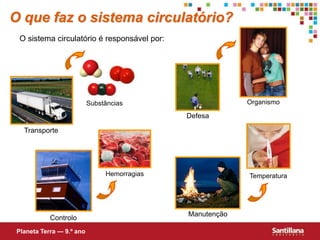 O que faz o sistema circulatório?
O sistema circulatório é responsável por:
Planeta Terra — 9.º ano
Transporte
Controlo
Manutenção
Defesa
Substâncias Organismo
Hemorragias Temperatura
 