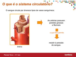 O sangue circula por diversos tipos de vasos sanguíneos:
As artérias possuem
paredes grossas
e flexíveis
o que lhes permite
resistir à pressão
do sangue.
O que é o sistema circulatório?
Planeta Terra — 9.º ano
Artéria
 