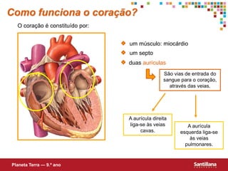 São vias de entrada do
sangue para o coração,
através das veias.
A aurícula direita
liga-se às veias
cavas.
A aurícula
esquerda liga-se
às veias
pulmonares.
um músculo: miocárdio
duas aurículas
um septo
Como funciona o coração?
O coração é constituído por:
Planeta Terra — 9.º ano
 