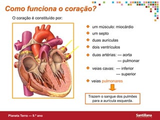 Trazem o sangue dos pulmões
para a aurícula esquerda.
Como funciona o coração?
duas aurículas
dois ventrículos
um septo
duas artérias: — aorta
— pulmonar
veias cavas: — inferior
— superior
veias pulmonares
O coração é constituído por:
um músculo: miocárdio
Planeta Terra — 9.º ano
 