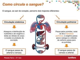Como circula o sangue?
O sangue, ao sair do coração, percorre dois trajectos diferentes:
Circulação pulmonarCirculação sistémica
Assegura a distribuição de
nutrientes e de oxigénio a
todas as células do corpo
e recebe os produtos de
excreção.
Passa pelos pulmões, onde
se dá a hematose
pulmonar, o oxigénio passa
para o sangue e o dióxido
de carbono passa para
os pulmões.
O sangue passa de
venoso a arterial.
O sangue passa de
arterial a venoso.
Planeta Terra — 9.º ano
 