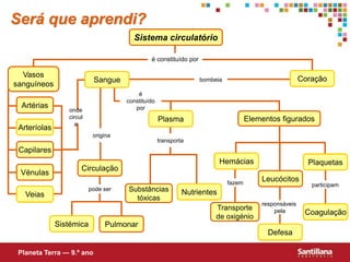 transporta
é
constituído
por
é constituído por
Será que aprendi?
Sistema circulatório
Vasos
sanguíneos
Capilares
Vénulas
Circulação
Pulmonar
bombeia
Substâncias
tóxicas
Leucócitos
Transporte
de oxigénio
onde
circul
a
Artérias
origina
responsáveis
pela
pode ser
Elementos figurados
fazem participam
Planeta Terra — 9.º ano
Coração
Arteríolas
Veias
Sangue
Sistémica
Plasma
Nutrientes
Hemácias
Defesa
Plaquetas
Coagulação
 