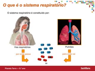 O que é o sistema respiratório?
O sistema respiratório é constituído por:
Ar
por onde passa para onde vai
Planeta Terra — 9.º ano
Vias respiratórias Pulmões
 