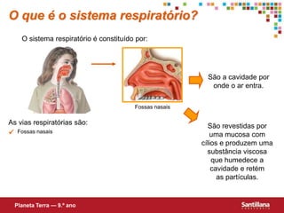 O sistema respiratório é constituído por:
As vias respiratórias são:
São a cavidade por
onde o ar entra.
 Fossas nasais
São revestidas por
uma mucosa com
cílios e produzem uma
substância viscosa
que humedece a
cavidade e retém
as partículas.
O que é o sistema respiratório?
Planeta Terra — 9.º ano
Fossas nasais
 