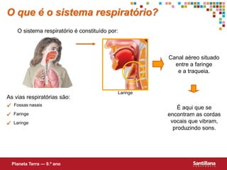 Fossas nasais
 Faringe
 Laringe
As vias respiratórias são:
Canal aéreo situado
entre a faringe
e a traqueia.
É aqui que se
encontram as cordas
vocais que vibram,
produzindo sons.
O que é o sistema respiratório?
O sistema respiratório é constituído por:
Planeta Terra — 9.º ano
Laringe
 