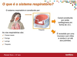  Fossas nasais
 Faringe
 Laringe
 Traqueia
As vias respiratórias são:
Canal constituído
por anéis
cartilagíneos em
forma de «C».
É revestido por uma
mucosa e por cílios
e conduz o ar até
aos pulmões.
O que é o sistema respiratório?
O sistema respiratório é constituído por:
Planeta Terra — 9.º ano
Traqueia
 