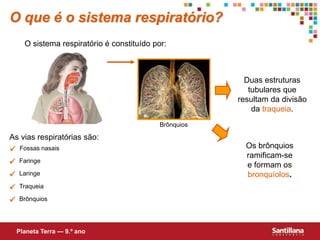  Fossas nasais
 Faringe
 Laringe
 Traqueia
 Brônquios
As vias respiratórias são:
Duas estruturas
tubulares que
resultam da divisão
da traqueia.
Os brônquios
ramificam-se
e formam os
bronquíolos.
O que é o sistema respiratório?
O sistema respiratório é constituído por:
Planeta Terra — 9.º ano
Brônquios
 