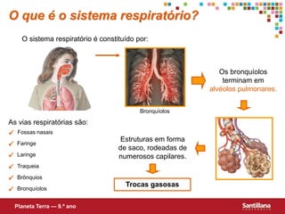  Fossas nasais
 Faringe
 Laringe
 Traqueia
 Brônquios
 Bronquíolos
As vias respiratórias são:
Os bronquíolos
terminam em
alvéolos pulmonares.
Estruturas em forma
de saco, rodeadas de
numerosos capilares.
Trocas gasosas
O que é o sistema respiratório?
O sistema respiratório é constituído por:
Planeta Terra — 9.º ano
Bronquíolos
 