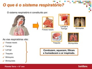  Fossas nasais
 Faringe
 Laringe
 Traqueia
 Brônquios
 Bronquíolos
As vias respiratórias são:
Conduzem, aquecem, filtram
e humedecem o ar inspirado.
O que é o sistema respiratório?
O sistema respiratório é constituído por:
Planeta Terra — 9.º ano
Fossas nasais
Laringe e
Faringe
Traqueia Bronquíolos
Brônquios
 