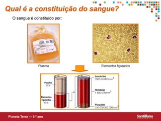 Qual é a constituição do sangue?
O sangue é constituído por:
Plasma Elementos figurados
Planeta Terra — 9.º ano
 