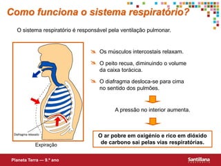  Os músculos intercostais relaxam.
 O peito recua, diminuindo o volume
da caixa torácica.
O ar pobre em oxigénio e rico em dióxido
de carbono sai pelas vias respiratórias.
A pressão no interior aumenta.
 O diafragma desloca-se para cima
no sentido dos pulmões.
Como funciona o sistema respiratório?
O sistema respiratório é responsável pela ventilação pulmonar.
Planeta Terra — 9.º ano
Expiração
 