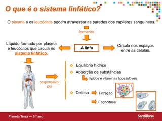O que é o sistema linfático?
O plasma e os leucócitos podem atravessar as paredes dos capilares sanguíneos.
formando
A linfa
Circula nos espaços
entre as células.
Líquido formado por plasma
e leucócitos que circula no
sistema linfático.
responsável
por
Equilíbrio hídrico
Absorção de substâncias
Defesa
lípidos e vitaminas lipossolúveis
Filtração
Fagocitose
Planeta Terra — 9.º ano
 