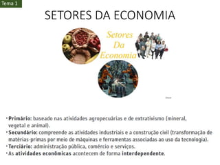 SETORES DA ECONOMIA
Tema 1
 