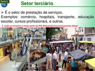 É onde se encontra a maior parte da PEA (População Economicamente Ativa)
Tema 1
 