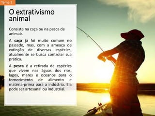 O extrativismo
animal
Consiste na caça ou na pesca de
animais.
A caça já foi muito comum no
passado, mas, com a ameaça de
extinção de diversas espécies,
atualmente se busca controlar sua
prática.
A pesca é a retirada de espécies
que vivem nas águas dos rios,
lagos, mares e oceanos para o
fornecimento de alimento e
matéria-prima para a indústria. Ela
pode ser artesanal ou industrial.
Tema 2
 