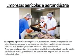 Empresas agrícolas e agroindústria
 
