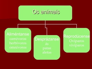 Os animais Aliméntanse carnívoros herbívoros omnívoros Desprázanse ás patas aletas Reprodúcense Ovíparos vivíparos 
