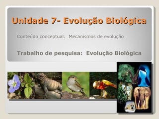 Unidade 7- Evolução Biológica Conteúdo conceptual:  Mecanismos de evolução Trabalho de pesquisa:  Evolução Biológica 