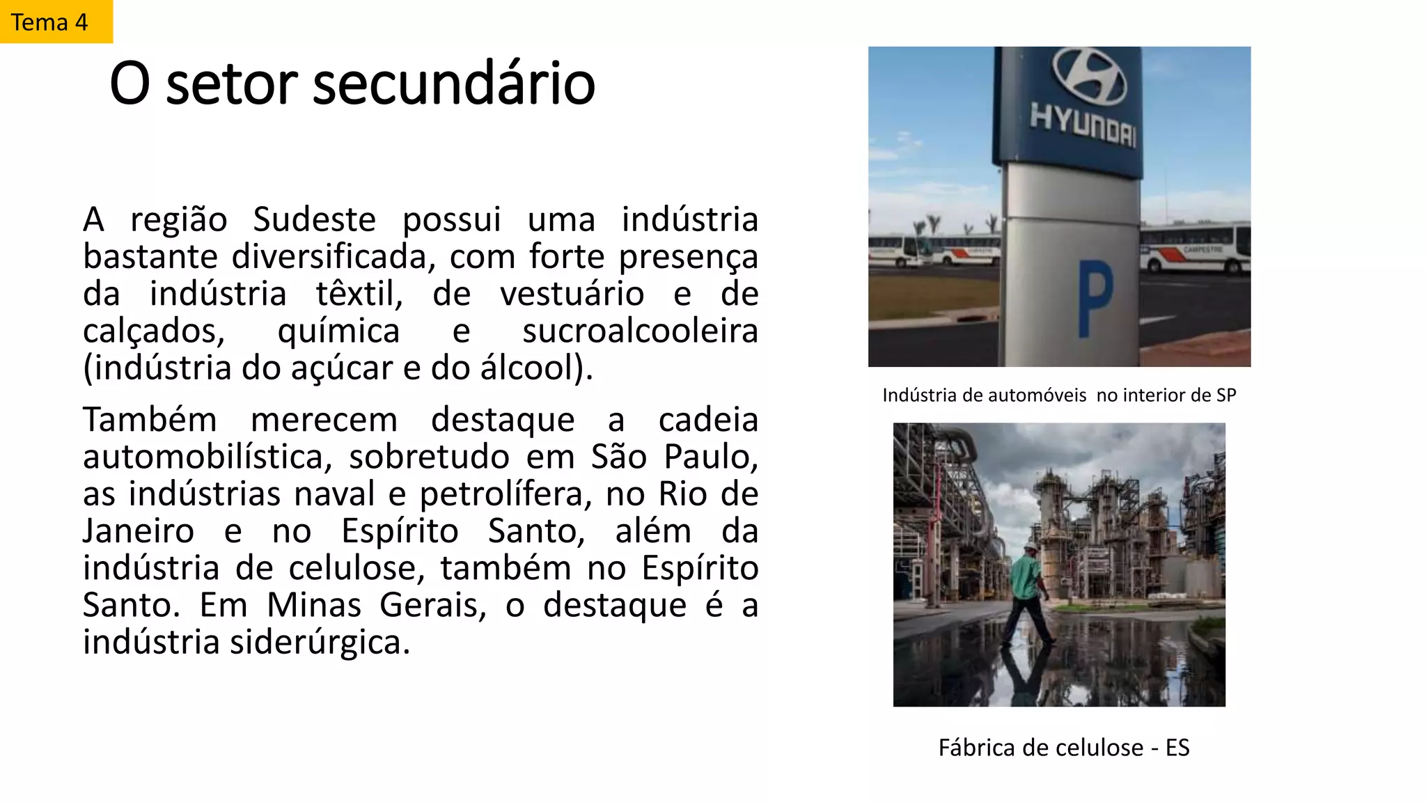O setor secundário
A região Sudeste possui uma indústria
bastante diversificada, com forte presença
da indústria têxtil, de vestuário e de
calçados, química e sucroalcooleira
(indústria do açúcar e do álcool).
Também merecem destaque a cadeia
automobilística, sobretudo em São Paulo,
as indústrias naval e petrolífera, no Rio de
Janeiro e no Espírito Santo, além da
indústria de celulose, também no Espírito
Santo. Em Minas Gerais, o destaque é a
indústria siderúrgica.
Tema 4
Indústria de automóveis no interior de SP
Fábrica de celulose - ES
 