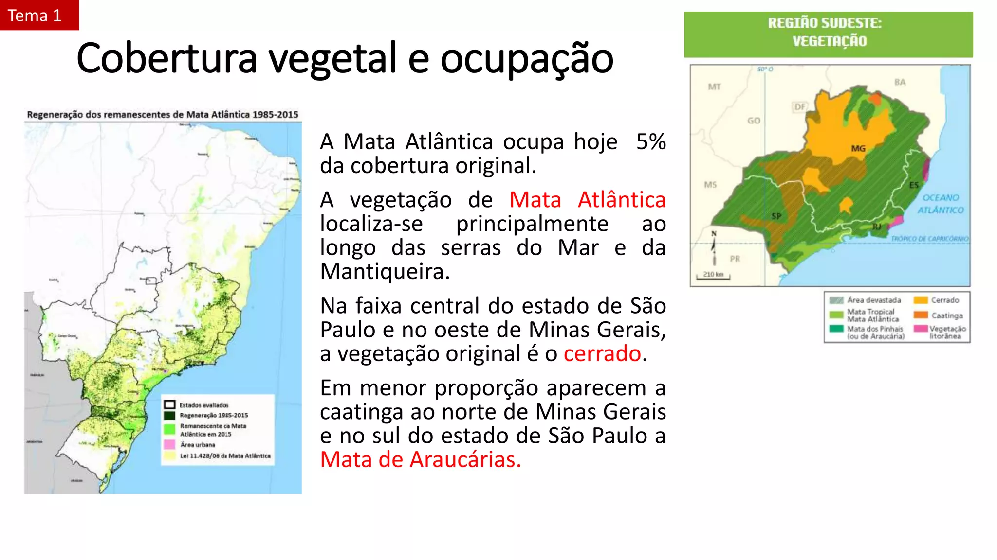 Cobertura vegetal e ocupação
A Mata Atlântica ocupa hoje 5%
da cobertura original.
A vegetação de Mata Atlântica
localiza-se principalmente ao
longo das serras do Mar e da
Mantiqueira.
Na faixa central do estado de São
Paulo e no oeste de Minas Gerais,
a vegetação original é o cerrado.
Em menor proporção aparecem a
caatinga ao norte de Minas Gerais
e no sul do estado de São Paulo a
Mata de Araucárias.
Tema 1
 