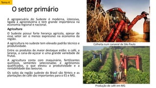 O setor primário
A agropecuária do Sudeste é moderna, intensiva,
ligada à agroindústria e tem grande importância na
economia regional e nacional.
Agricultura
O Sudeste possui forte herança agrícola, apesar de
esse setor ser o menos expressivo na economia da
região.
A agricultura no sudeste tem elevado padrão técnico e
produtividade.
Entre os produtos de maior destaque estão: o café, a
laranja, a cana-de-açúcar e uma grande variedade de
frutas.
A agricultura conta com maquinário, fertilizantes
químicos, sementes selecionadas e agrônomos
qualificados, o que elevou a produtividade e a
rentabilidade das lavouras.
Os solos da região sudeste do Brasil são férteis e as
plantações de café são importantes para o ES e MG.
Tema 4
Colheita num canavial de São Paulo
Produção de café em MG
 