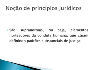 São supranormas, ou seja, elementos norteadores da conduta humana, que atuam definindo padrões substanciais de justiça. 
