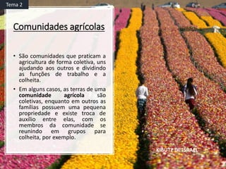 Comunidades agrícolas
• São comunidades que praticam a
agricultura de forma coletiva, uns
ajudando aos outros e dividindo
as funções de trabalho e a
colheita.
• Em alguns casos, as terras de uma
comunidade agrícola são
coletivas, enquanto em outros as
famílias possuem uma pequena
propriedade e existe troca de
auxílio entre elas, com os
membros da comunidade se
reunindo em grupos para
colheita, por exemplo.
KIBUTZ DE ISRAEL
Tema 2
 