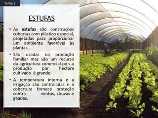 ESTUFAS
• As estufas são construções
cobertas com plástico especial,
projetadas para proporcionar
um ambiente favorável às
plantas.
• São usadas na produção
familiar mas são um recurso
da agricultura comercial pois a
produção por hectare
cultivado é grande.
• A temperatura interna e a
irrigação são controladas e a
cobertura fornece proteção
contra ventos, chuvas e
geadas.
Tema 2
 