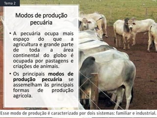 Modos de produção
pecuária
• A pecuária ocupa mais
espaço do que a
agricultura e grande parte
de toda a área
continental do globo é
ocupada por pastagens e
criações de animais.
• Os principais modos de
produção pecuária se
assemelham às principais
formas de produção
agrícola.
Tema 2
 