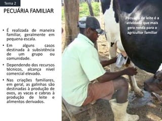PECUÁRIA FAMILIAR
• É realizada de maneira
familiar, geralmente em
pequena escala.
• Em alguns casos
destinada à subsistência
de um grupo ou
comunidade.
• Dependendo dos recursos
técnicos, alcança nível
comercial elevado.
• Nas criações familiares,
em geral, as galinhas são
destinadas à produção de
ovos, as vacas e cabras à
produção de leite e
alimentos derivados.
Pecuária de leite é a
atividade que mais
gera renda para o
agricultor familiar
Tema 2
 