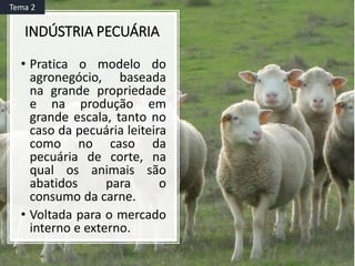 INDÚSTRIA PECUÁRIA
• Pratica o modelo do
agronegócio, baseada
na grande propriedade
e na produção em
grande escala, tanto no
caso da pecuária leiteira
como no caso da
pecuária de corte, na
qual os animais são
abatidos para o
consumo da carne.
• Voltada para o mercado
interno e externo.
Tema 2
 