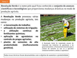 A Revolução Verde provocou várias
mudanças na produção agrícola, tais
como:
• a mecanização do trabalho;
• utilização de sistemas de irrigação;
• a utilização contínua de
fertilizantes químicos;
• aplicação de agrotóxicos no
controle de pragas agrícolas;
• plantio de sementes de alta
produtividade (melhoramento
genético).
A Revolução Verde foi implantada através de
imposição das indústrias de agrotóxicos e do
governo brasileiro: o financiamento bancário para a
compra de semente só saia se o agricultor
comprasse também o adubo e o agrotóxico.
Tema 3
 