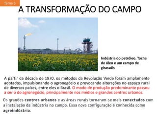 A TRANSFORMAÇÃO DO CAMPO
A partir da década de 1970, os métodos da Revolução Verde foram amplamente
adotados, impulsionando o agronegócio e provocando alterações no espaço rural
de diversos países, entre eles o Brasil. O modo de produção predominante passou
a ser o do agronegócio, principalmente nos médios e grandes centros urbanos.
Tema 3
Indústria do petróleo. Tocha
de óleo e um campo de
girassóis
 