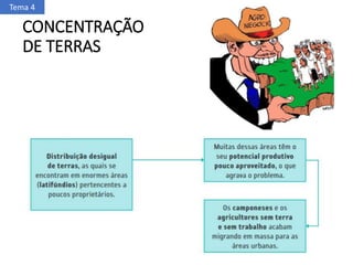 CONCENTRAÇÃO
DE TERRAS
Tema 4
 
