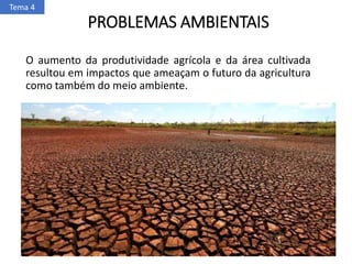 PROBLEMAS AMBIENTAIS
O aumento da produtividade agrícola e da área cultivada
resultou em impactos que ameaçam o futuro da agricultura
como também do meio ambiente.
Tema 4
 
