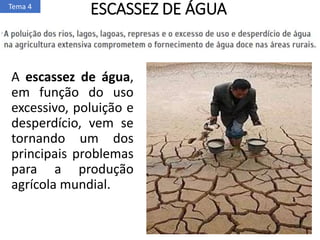 ESCASSEZ DE ÁGUA
A escassez de água,
em função do uso
excessivo, poluição e
desperdício, vem se
tornando um dos
principais problemas
para a produção
agrícola mundial.
Tema 4
 