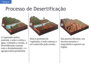 Tema 4
 